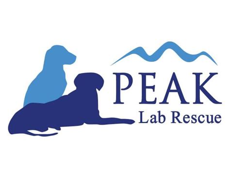 Peak lab rescue - Update: Millie has a foster! <3 Foster needed for sweet Millie! Millie is being returned to PLR. Millie is between 5 & 6 and about 46lbs. She is great with everyone - adults, kids, other dogs,...